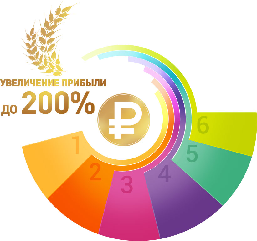 200 процентов