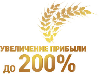 200 процентов